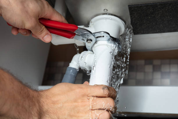 Best Professional water damage repair  in Dentsville, SC