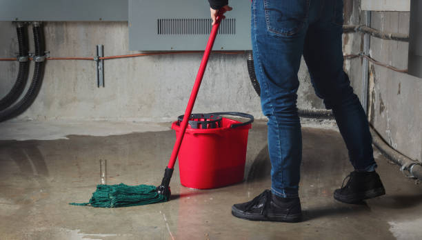 Best Mold removal after water damage  in Dentsville, SC