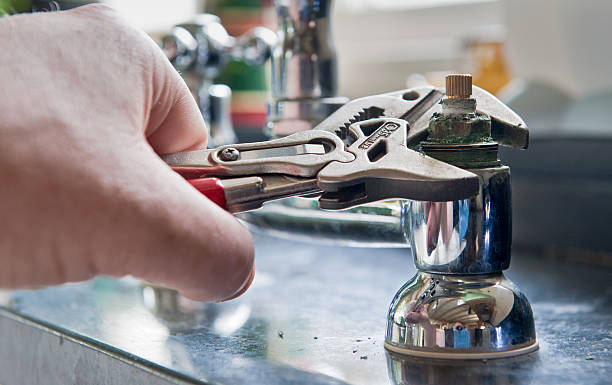 Best Water damage cleanup near me  in Dentsville, SC