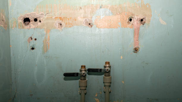 Trusted Dentsville, SC Water damage restoration Experts