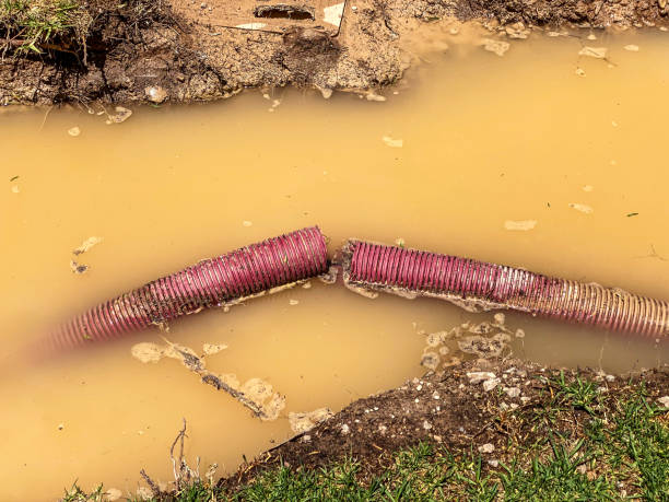 Sewage cleanup and water damage restoration in Dentsville, SC