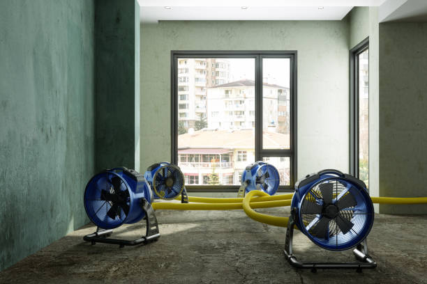 Best Water damage restoration cost  in Dentsville, SC