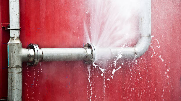 Best Ceiling water damage repair  in Dentsville, SC